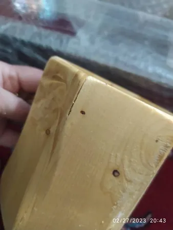 جا قاشقی چوبی آرونی مدل SWORD