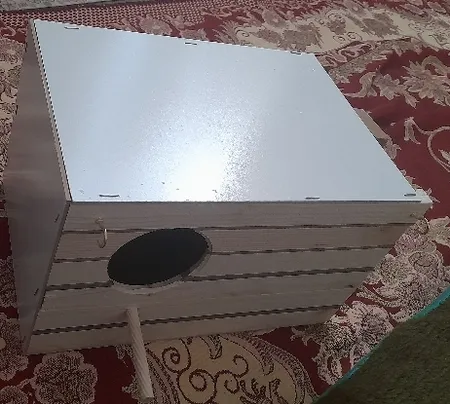 لانه پرنده مدل عروس هلندی