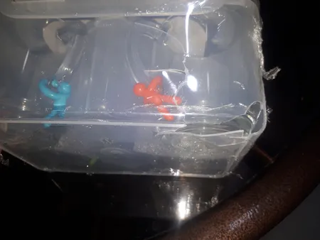 ست پیک نیک لیمون مدل 4 نفره کد 1783