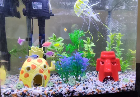 گیاه تزیینی آکواریوم مدل 25CM کد 1035