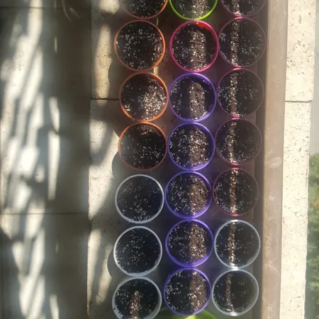 گلدان کلاسیک مدل G3004 مجموعه 50 عددی