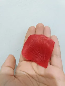 گلبرگ گل مصنوعی شیک و تک مدل DSH 104