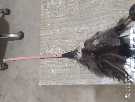 گردگیر مشهد داستر مدل Ostrich