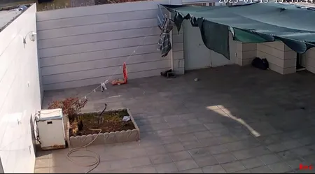 دوربین بیسیم مداربسته تحت شبکه مدل v380