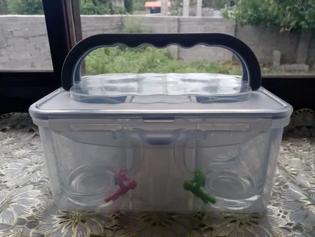 ست پیک نیک لیمون مدل 4 نفره کد 1783