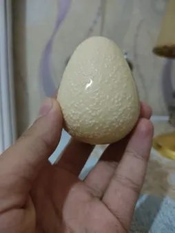 بالم لب مجیک مدل اواکادوو