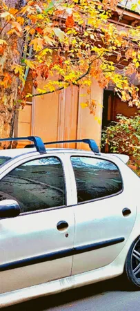 راک روف خودرو مدل VANI مناسب برای پژو 206 مجموعه 2 عددی