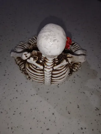 زیرسیگاری طرح اسکلت کد HE-002