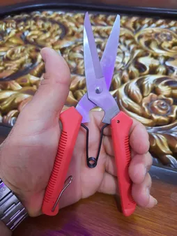 قیچی میوه چین کورال مدل G 1609