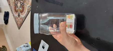 بانکه لیمون مدل be happy