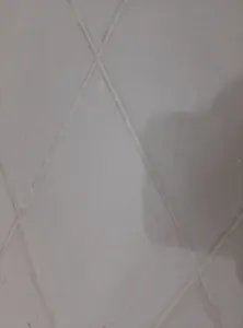 تجریه خرید پودر بندکشی بیدک کد 34 وزن دو کیلوگرم