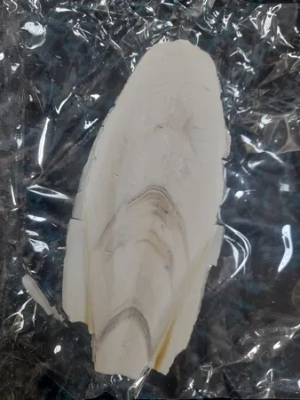 کف دریا کد M 55 وزن ۵۵ گرم