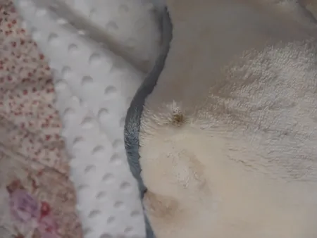 پتوی نوزادی مدل NW01 سایز 76x76 سانتی متر