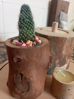 گلدان چوبی فیل چوب مدل GCH_ch