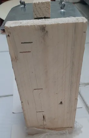 تله موش مدل قفسی