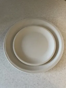 بشقاب تخت پیک نیک یزدگل کد 134