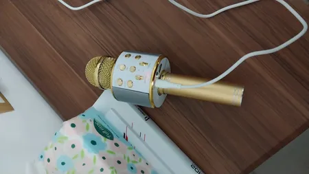 میکروفون اسپیکر مدل WS-858