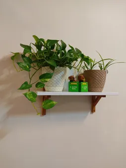 شلف دیواری سنجاب وود مدل sw14