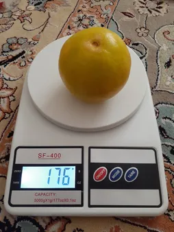 ترازو آشپزخانه مدل 00-14