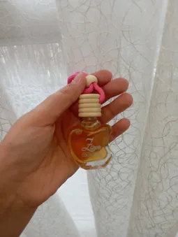 بوگیر خودرو مدل n6p مجموعه 2 عددی