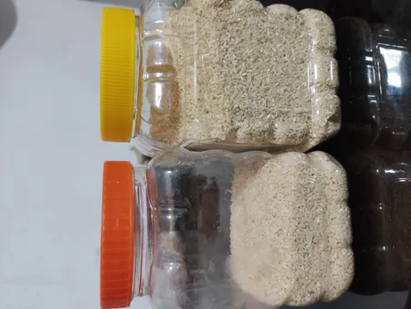 برنج نیم دانه دودی نسل نورانی - 1 کیلوگرم