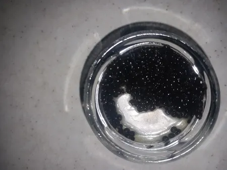 خاویار بری میراث خاویار کاسپین ایرانیان - 15 گرم