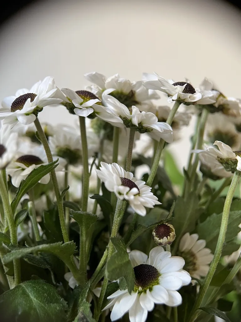 لنز کلیپسی موبایل لیگین مدل Macro Lens 30-90mm 5K L-8100