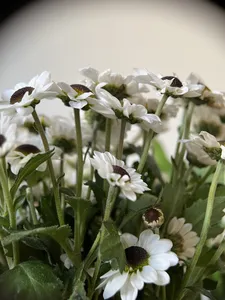 تجریه خرید لنز کلیپسی موبایل لیگین مدل Macro Lens 30-90mm 5K L-8100