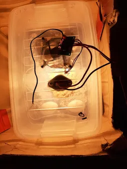 کنترلر دما تنگفی مدل W1209