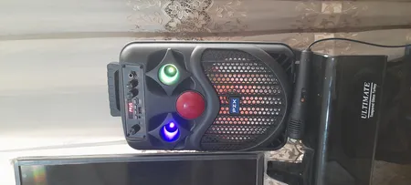 اسپیکر بلوتوثی قابل حمل پی زد ایکس مدل NDR-P66 به همراه میکروفن