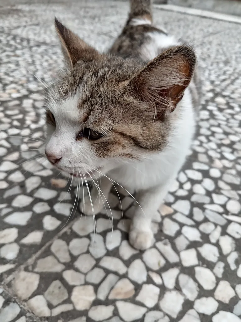 گوشی موبایل آنر مدل X6b دو سیم کارت ظرفیت 128 گیگابایت و رم 6 گیگابایت