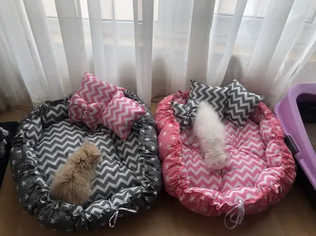 جای خواب سگ و گربه مدل mypet367