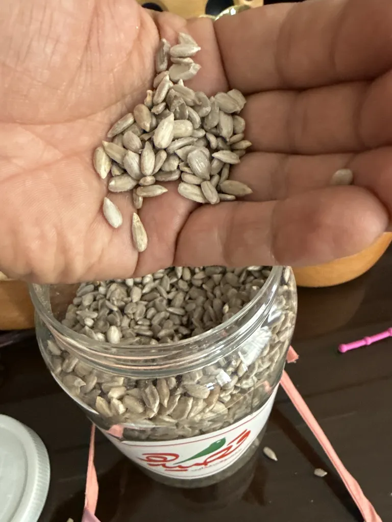 مغز تخمه آفتابگردان خام قصیده - 700 گرم