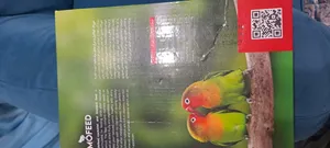 تجریه خرید غذای عروس هلندی مفید مدل TEH-COCKATIEL وزن 1000 گرم