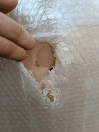 جاکفشی مدل رویان