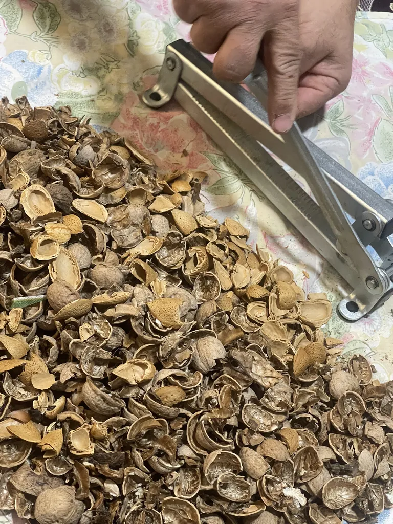 گردوشکن مدل O981