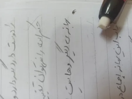 پاک کن اتودی پارسیکار کد JM306