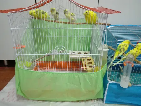 کاور قفس حیوانات کد 1030