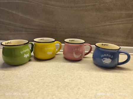 ماگ رجینال کد 1