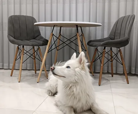 میز و صندلی ناهارخوری دو نفره مدل مایا لمسه کد gm01