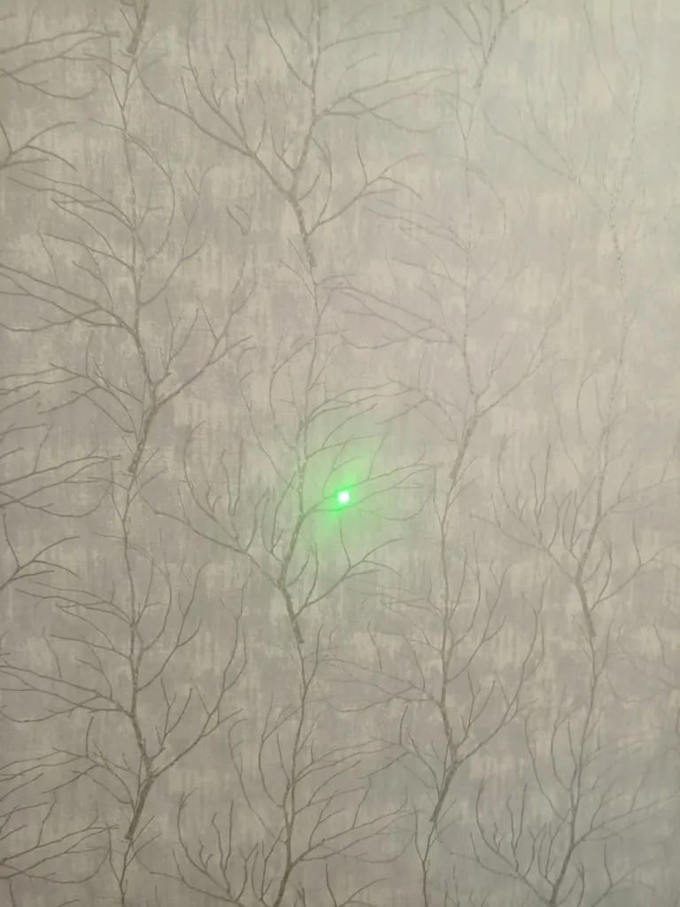 لیزر پوینتر مدل FP303