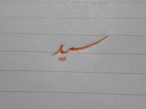 تجریه خرید خودکار اشنایدر مدل Silder Memo