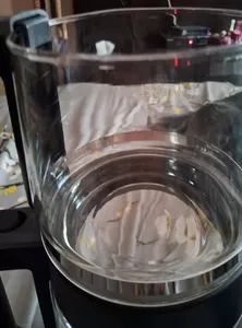 تجریه خرید چای ساز روی هم میگل مدل GTS 071