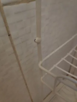 قفسه حمام کد 269