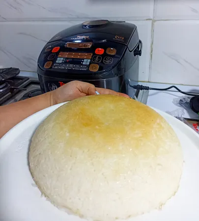 مولتی کوکر تفال مدل RK9018