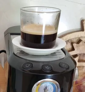 تجریه خرید اسپرسو ساز بارنی مدل BI 7007