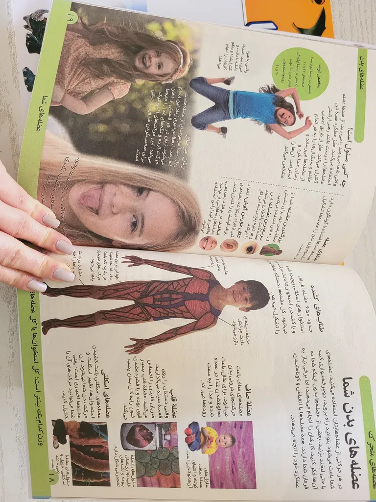 کتاب دایره المعارف فضا دایناسور ها بدن انسان حیوانات اثر جمعی از نویسندگان ترجمه جمعی از مترجمان انتشارات هیتا 4 جلدی چاپ اول