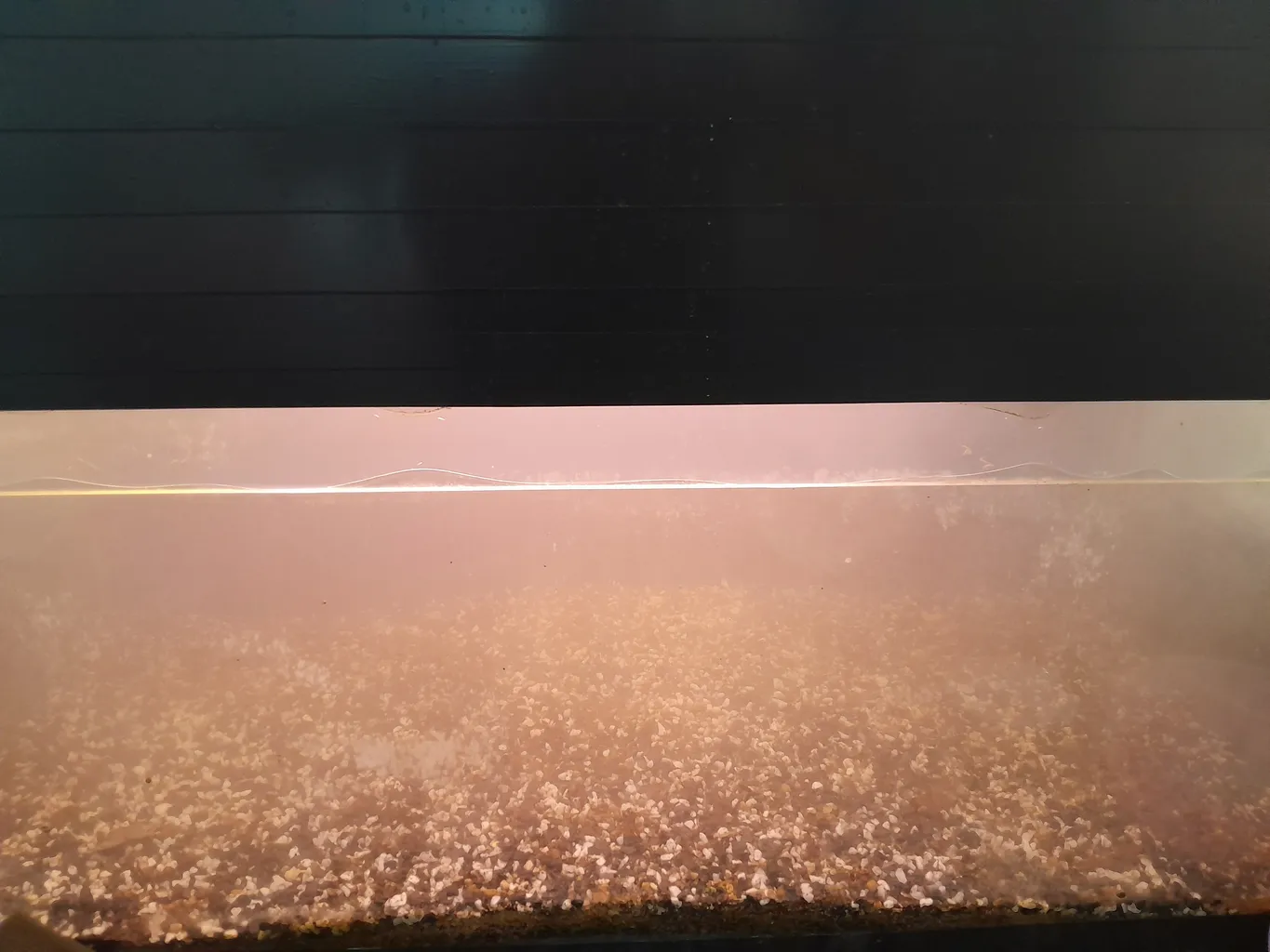 ماژول پیزو الکتریک بخار سرد مدل چهار کاناله به همراه پیزو الکتریک