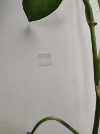 قیم بند مدل گیره جادویی بسته 30 عددی