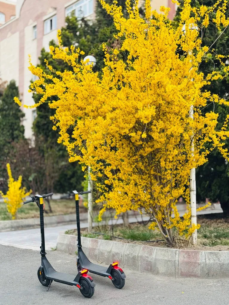 اسکوتر برقی شیائومی مدل 4lite gen2